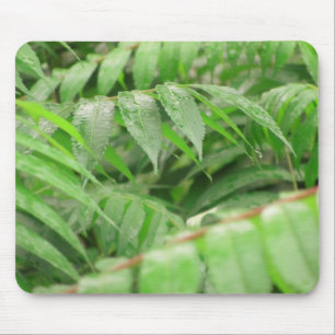 Rain Drops On Sumac Leaves Mouse Mat