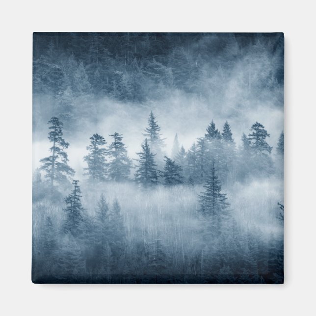Rain Forest Clouds in the Pacific Northwest Magnet (Front)