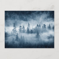 Rain Forest Clouds in the Pacific Northwest