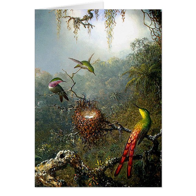 Rain Forest Hummingbirds Card (Front)