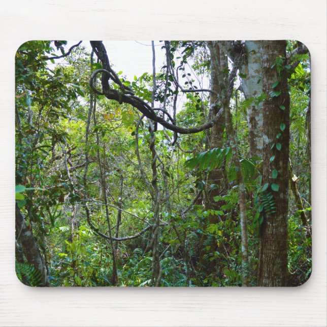 Rain Forest Mouse Mat (Front)