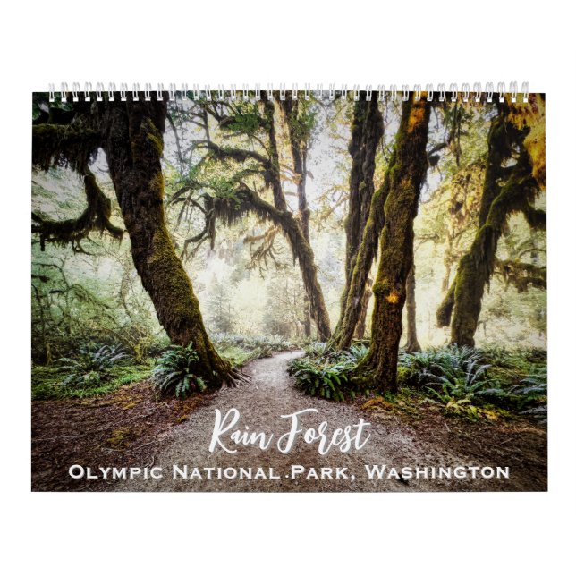 Rain Forest • Olympic National Park, Washington Calendar (Cover)