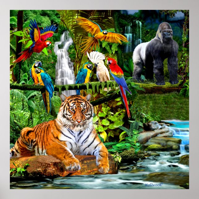 RAIN FOREST WILDLIFE POSTER (Front)