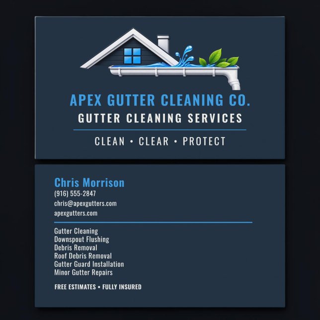 Rain Gutter Cleaning Professional Services Business Card (Creator Uploaded)