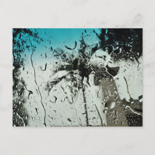 Rain in Florida Postcard