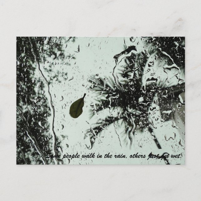 Rain in Florida Postcard (Front)