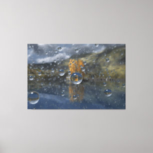 Rain in the Glen Canvas Print