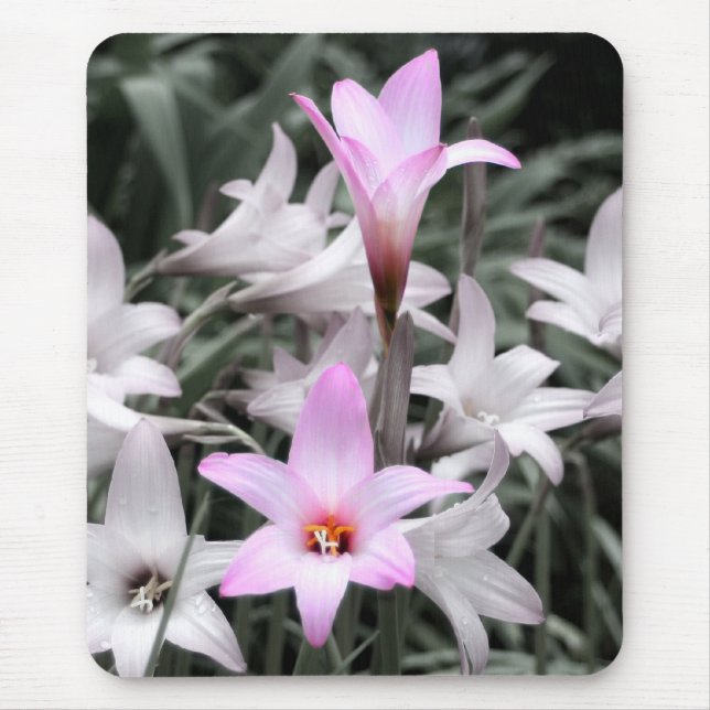 rain lilies mouse mat (Front)