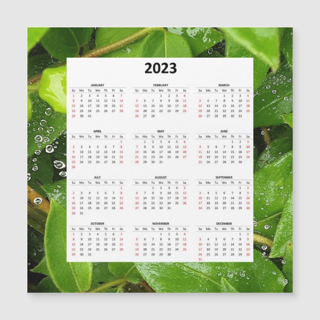 Rain On Spiderweb 2023 Magnetic Calendar (Front)