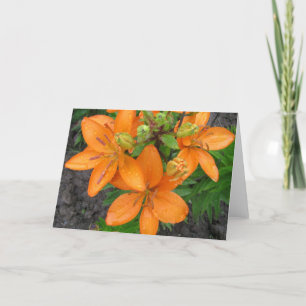 Rain on the Lillies Blank Note Card