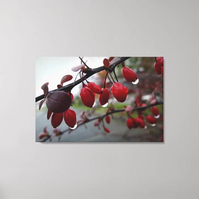 Rain on twig canvas print (Front)