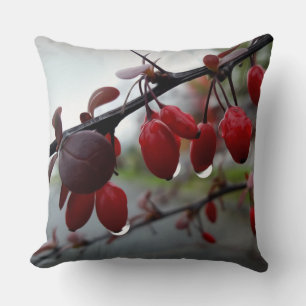 Rain on twig cushion