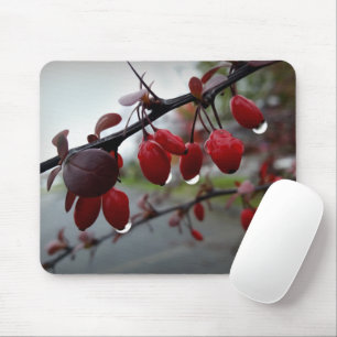 Rain on twig mouse mat