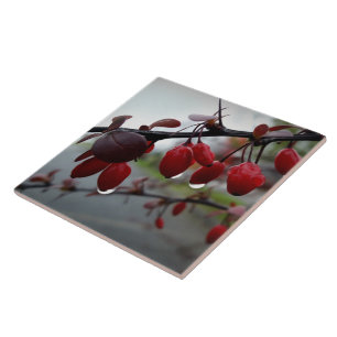 Rain on twig tile