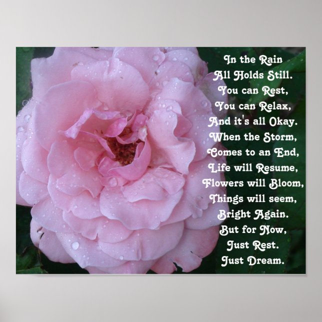 Rain Poem on a Beautiful Pink Rose with Raindrops Poster (Front)