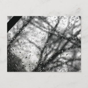 rain postcard