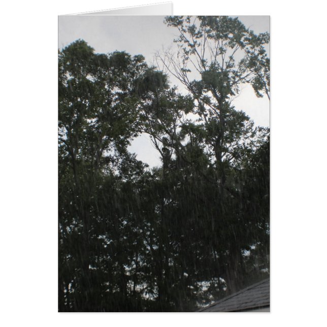 Rain Rain Go Away (Front)