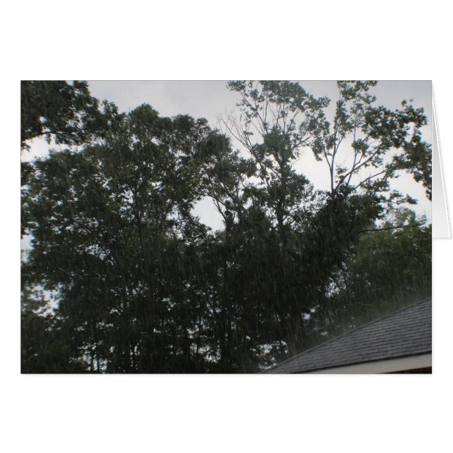 Rain Rain Go Away (Front Horizontal)