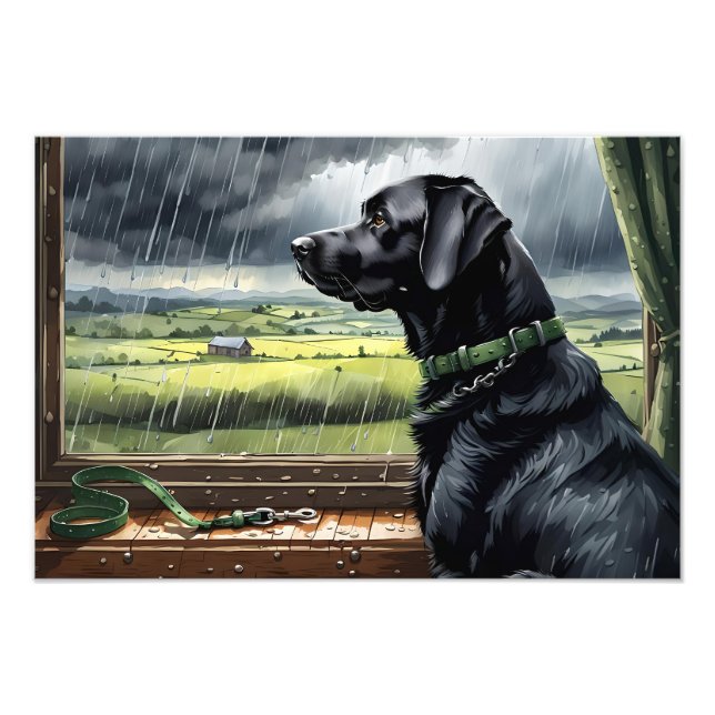 Rain Stops Play  Photo Print (Front)