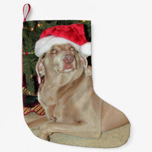 Rain The Cute Weimaraner Dog Christmas Stocking