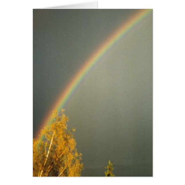 Rainbow (Front)