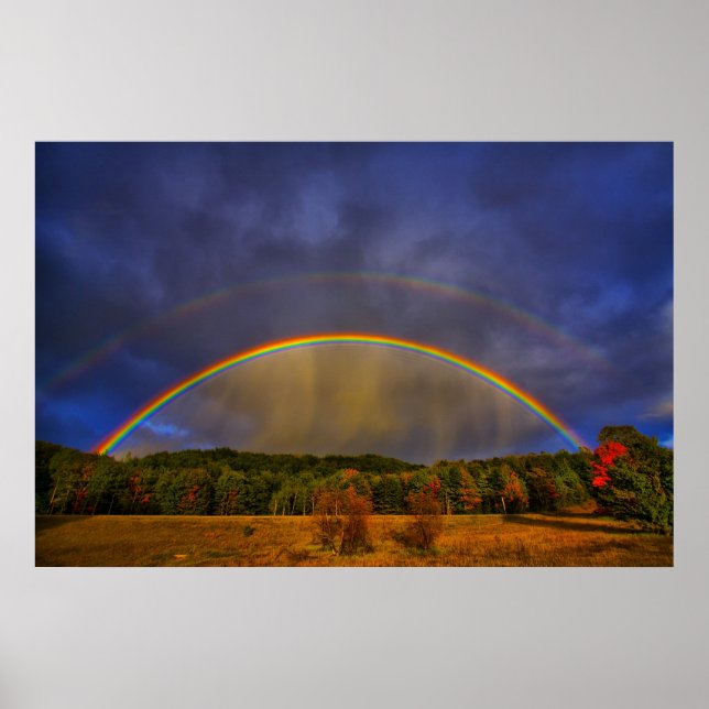 Rainbow #0954 poster (Front)