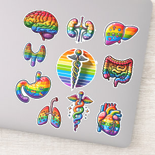 Rainbow Anatomy