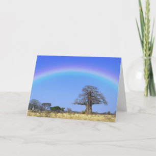 Rainbow and African baobab tree, Adansonia Card