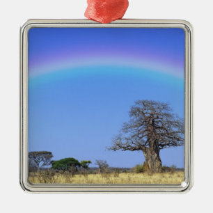 Rainbow and African baobab tree, Adansonia Metal Tree Decoration