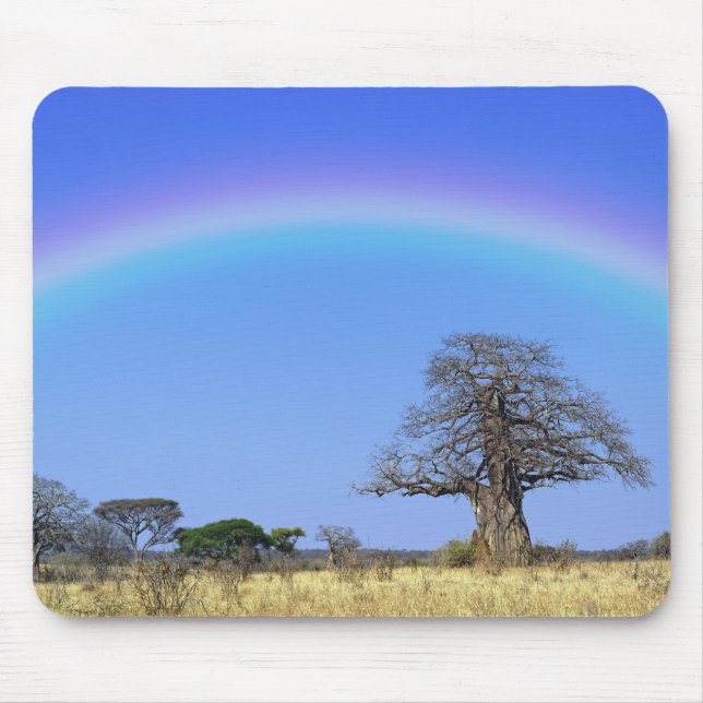 Rainbow and African baobab tree, Adansonia Mouse Mat (Front)