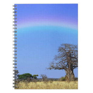 Rainbow and African baobab tree, Adansonia Notebook