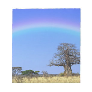 Rainbow and African baobab tree, Adansonia Notepad