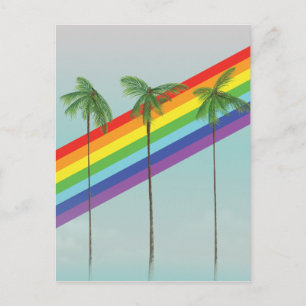 Rainbow and Palms Postcard
