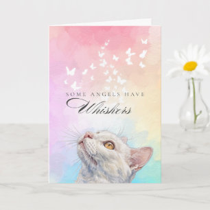 Rainbow Angels Whiskers White Cat Loss Sympathy Card