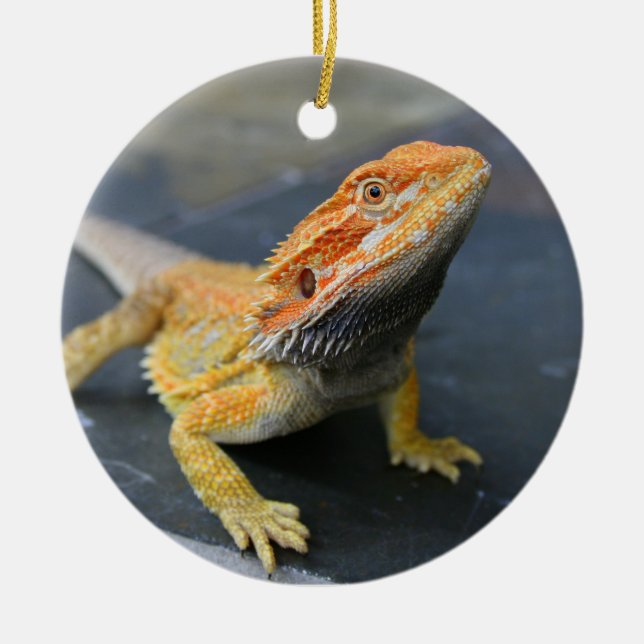 Rainbow Bearded Dragon Ceramic Tree Decoration (Front)