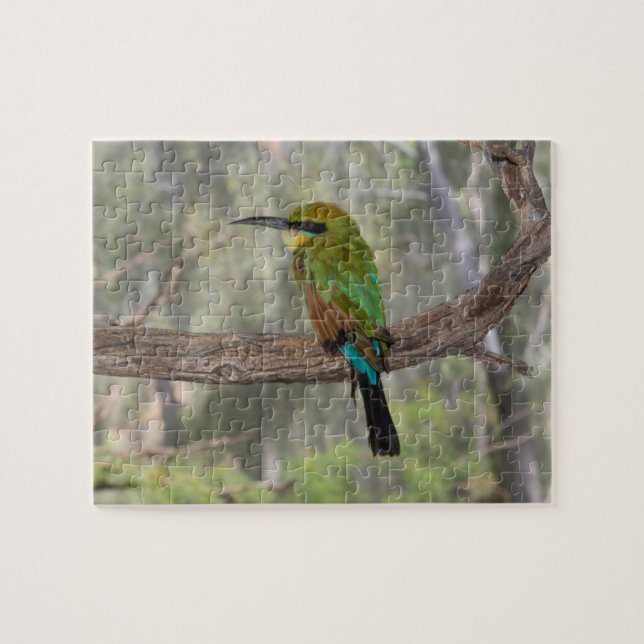 Rainbow bee-eater bird, Australia Jigsaw Puzzle (Horizontal)