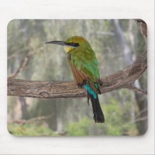 Rainbow bee-eater bird, Australia Mouse Mat