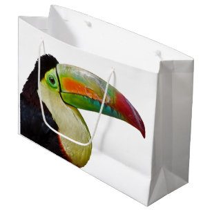 Toucan gift