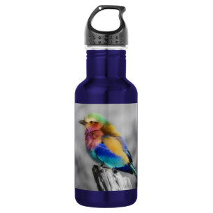 Rainbow Bird 532 Ml Water Bottle