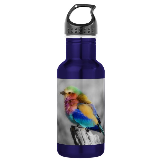 Rainbow Bird 532 Ml Water Bottle (Front)