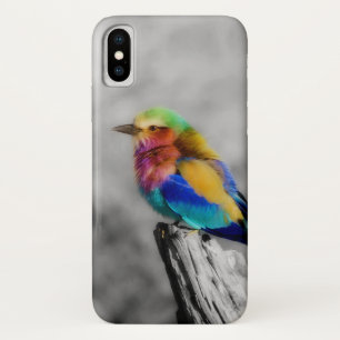 Rainbow Bird iPhone X Case