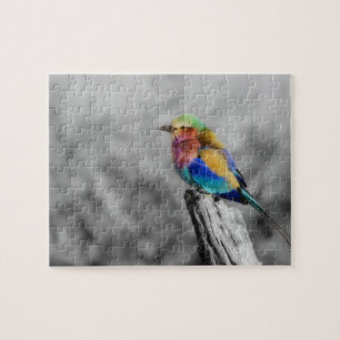 Rainbow Bird Jigsaw Puzzle