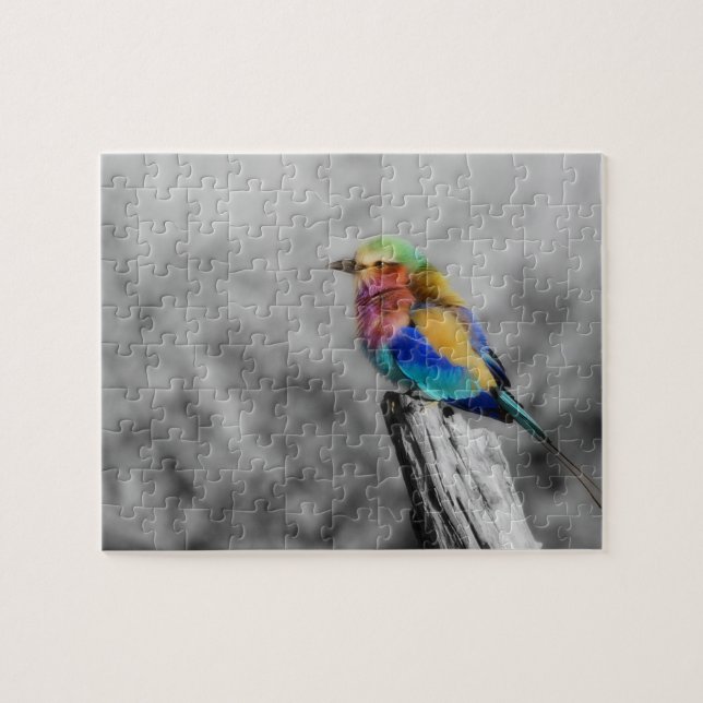 Rainbow Bird Jigsaw Puzzle (Horizontal)