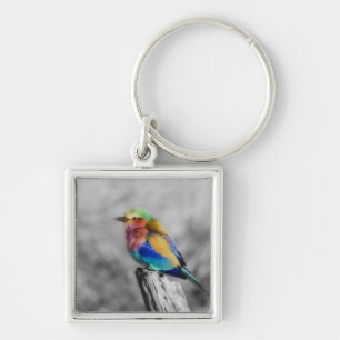 Rainbow Bird Key Ring