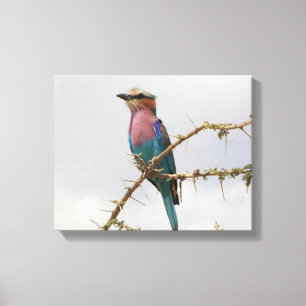 Rainbow Bird Photo Canvas Print
