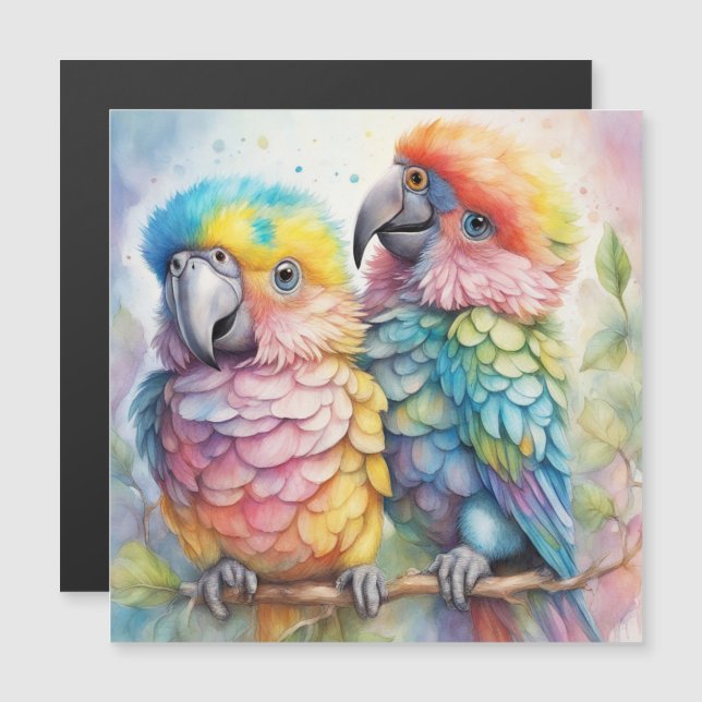 Rainbow Birds Parrots 1 (Front/Back)