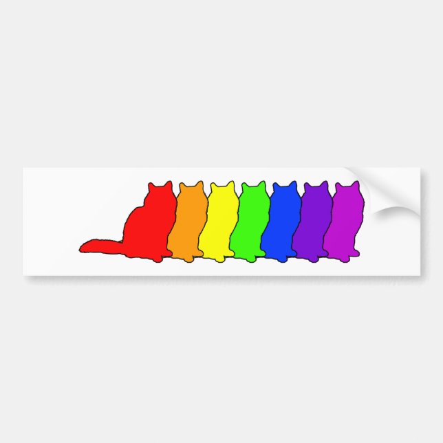 Rainbow Birman Bumper Sticker (Front)
