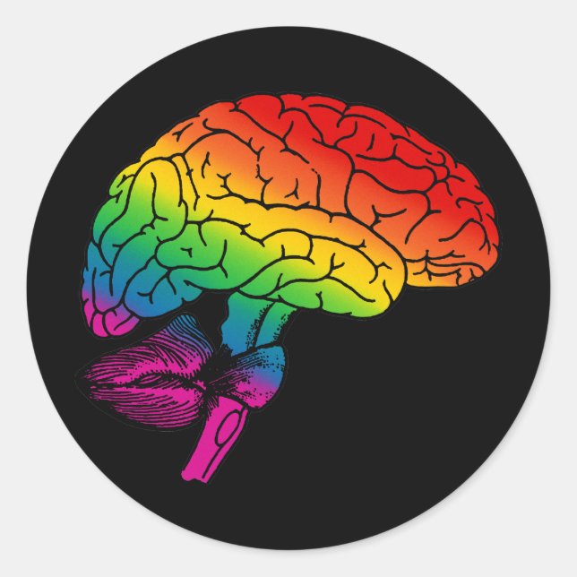 Rainbow Brain Classic Round Sticker (Front)
