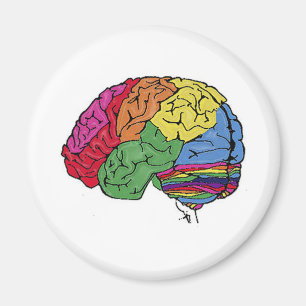 Rainbow Brain Magnet
