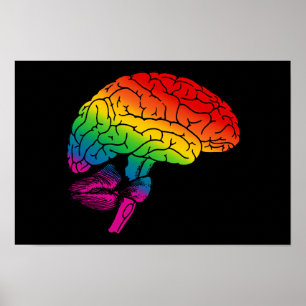 Rainbow Brain Poster